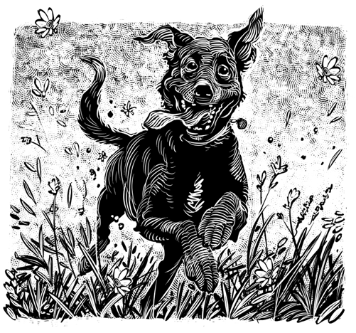 03-17-2023-Funny Business-Tim Foley-Happy Dog