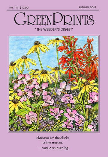 Weeders Digest Cover Autumn 2019