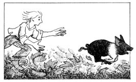 Gardening Humor: Chasing a pig