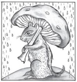 squirrel under mushroom in the rain