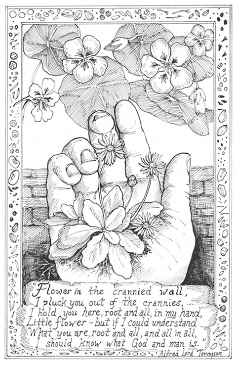 flowers on the palm