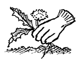 decorative border