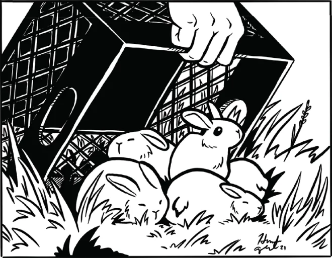 rabbit cage clipart black and white