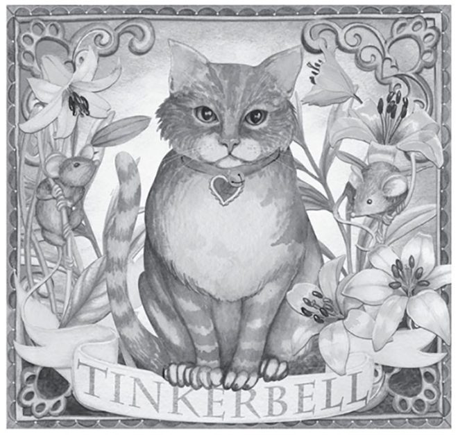cat named tinkerbell