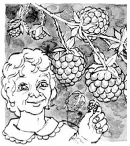 Old Woman Picking Raspberry