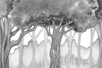 The Hidden Life Of Trees Featured.webp