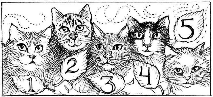 Five Cats