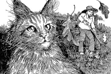 Cat and Farmer