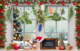 Food Gardening Holiday Greeting Card