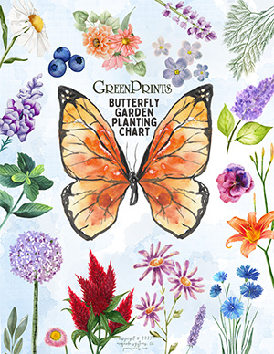 Printable Butterfly Garden Planting Chart