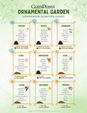 Printable Ornamental Garden Companion Planting Chart