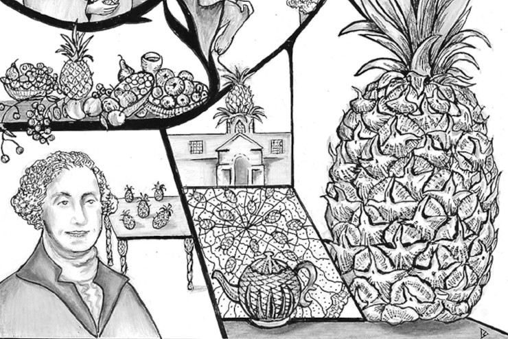 Weird Pineapple Facts and Gardening History