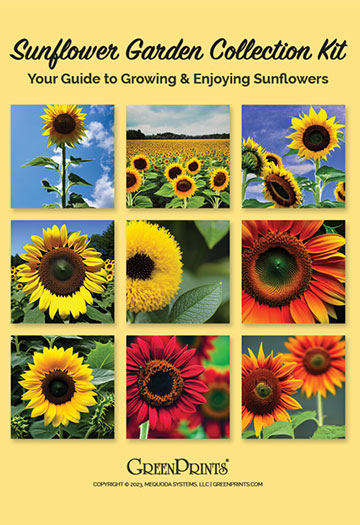 Sunflower Collection cover