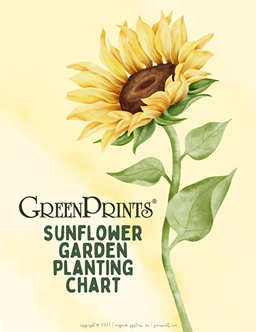 Sunflower Garden Planting Chart Freebie