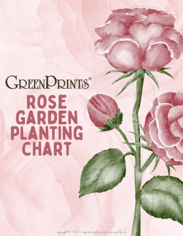 Rose Garden Planting Chart Freebie
