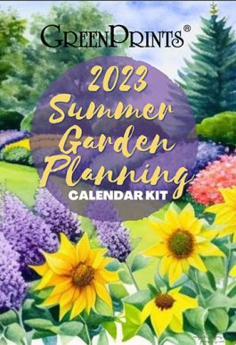 Plan Your Summer Garden Now!