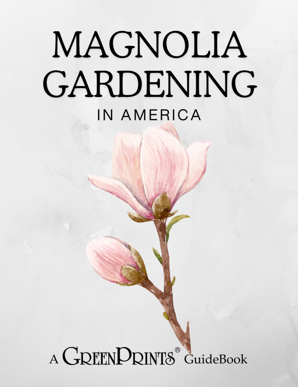 Magnolia Gardening in America GreenPrints