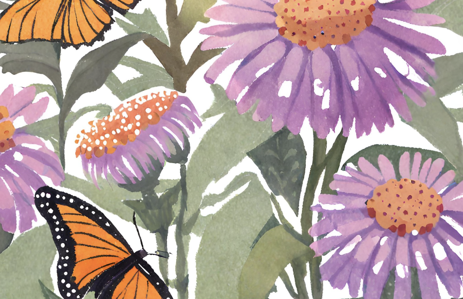 Nectar Nirvana: 6 Sweet Flowers for Your Butterfly Garden