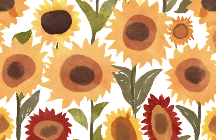 best sunflowers