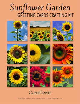 Sunflower Garden Greeting Card Crafting Kit