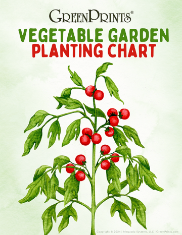 Vegetable Garden Planting Chart Freebie